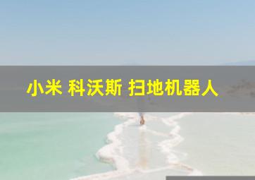 小米 科沃斯 扫地机器人